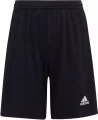 adidas-ent22-sho-y-426723-h57503-960.webp